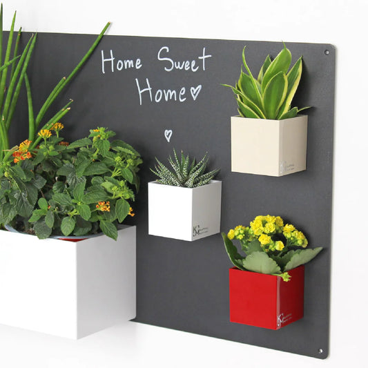 KalaMitica® Magnetische Würfelbehälter 6 cm – 3er-Set Rot, Elfenbein & Weiss