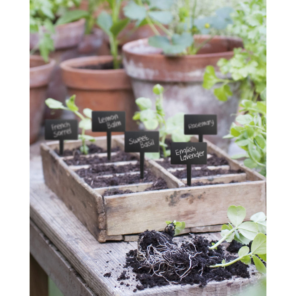 Blumen Kreidetafel Stecker