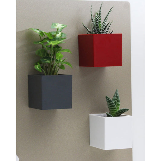 Blumentöpfe Magnetisch für Magnettafeln Kalamitica