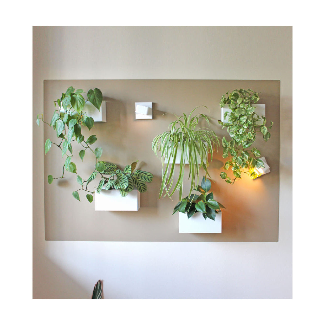 Green Wall mit magnetischen Tafeln in Beige