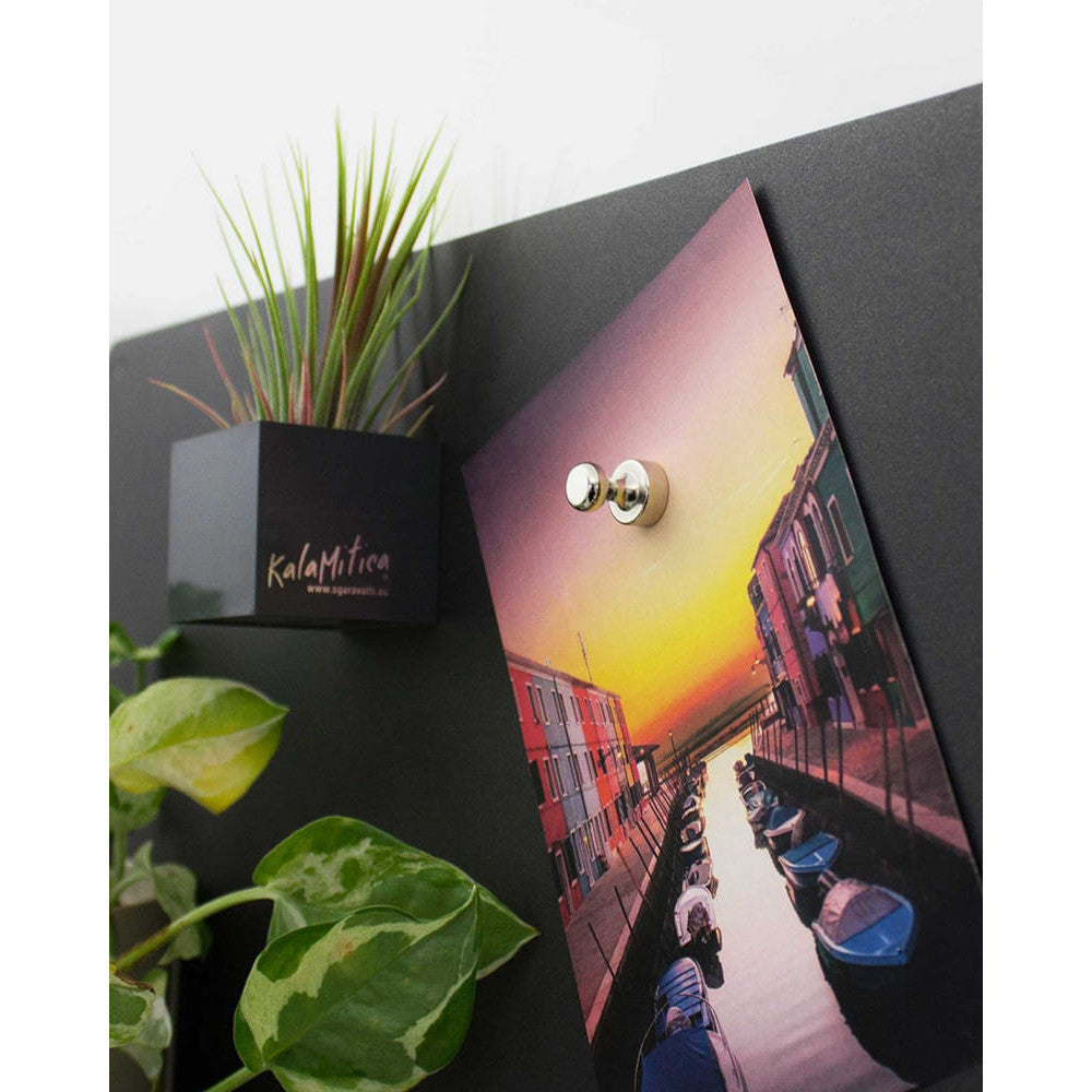 Kegelmagnete für Magnettafel 12 Stück