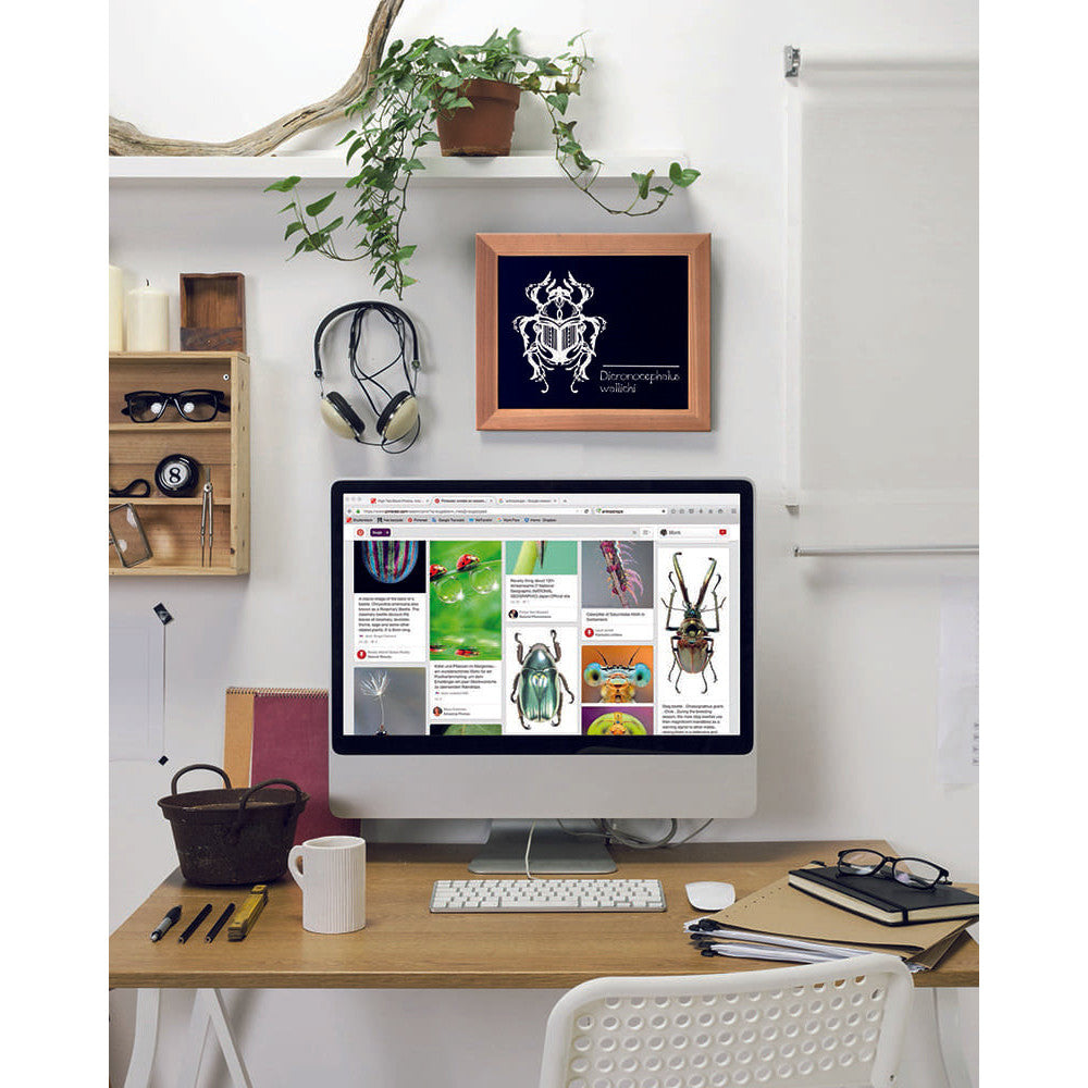 Kreidetafel mit Holzrahmen in Hellbraun, aufgehängt an der Wand im Büro