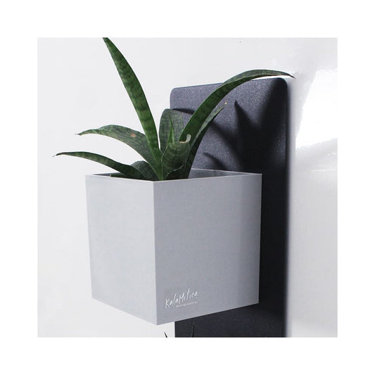 Magnetische Blumentöpfe Kalamitica Icegrau