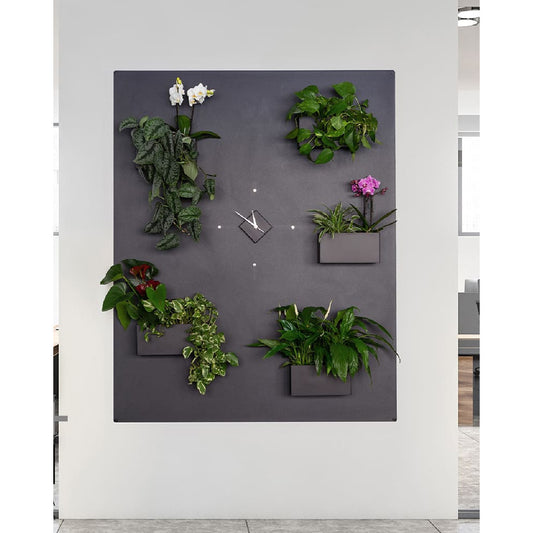 Magnetische Wandkreidetafel verziert mit magnetischen Behältern