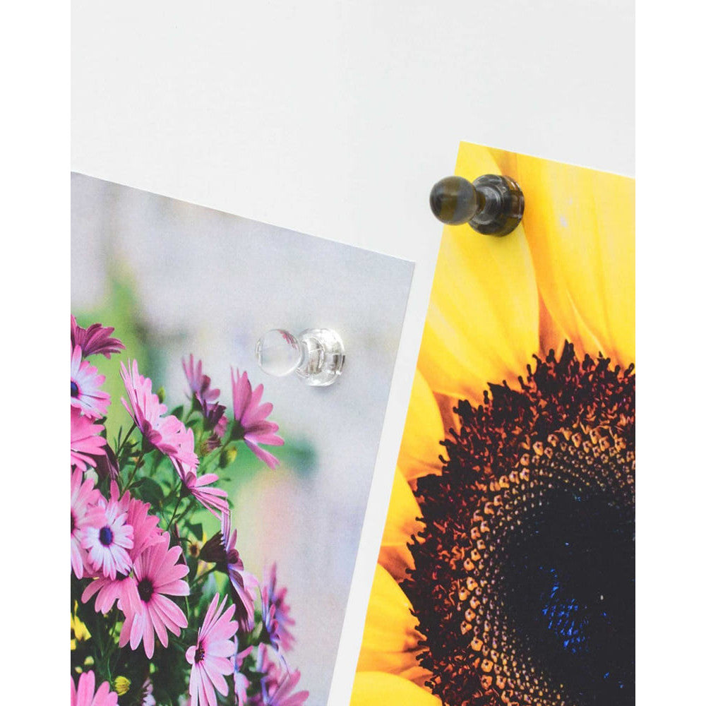 Magnetpins schwarz und transparent
