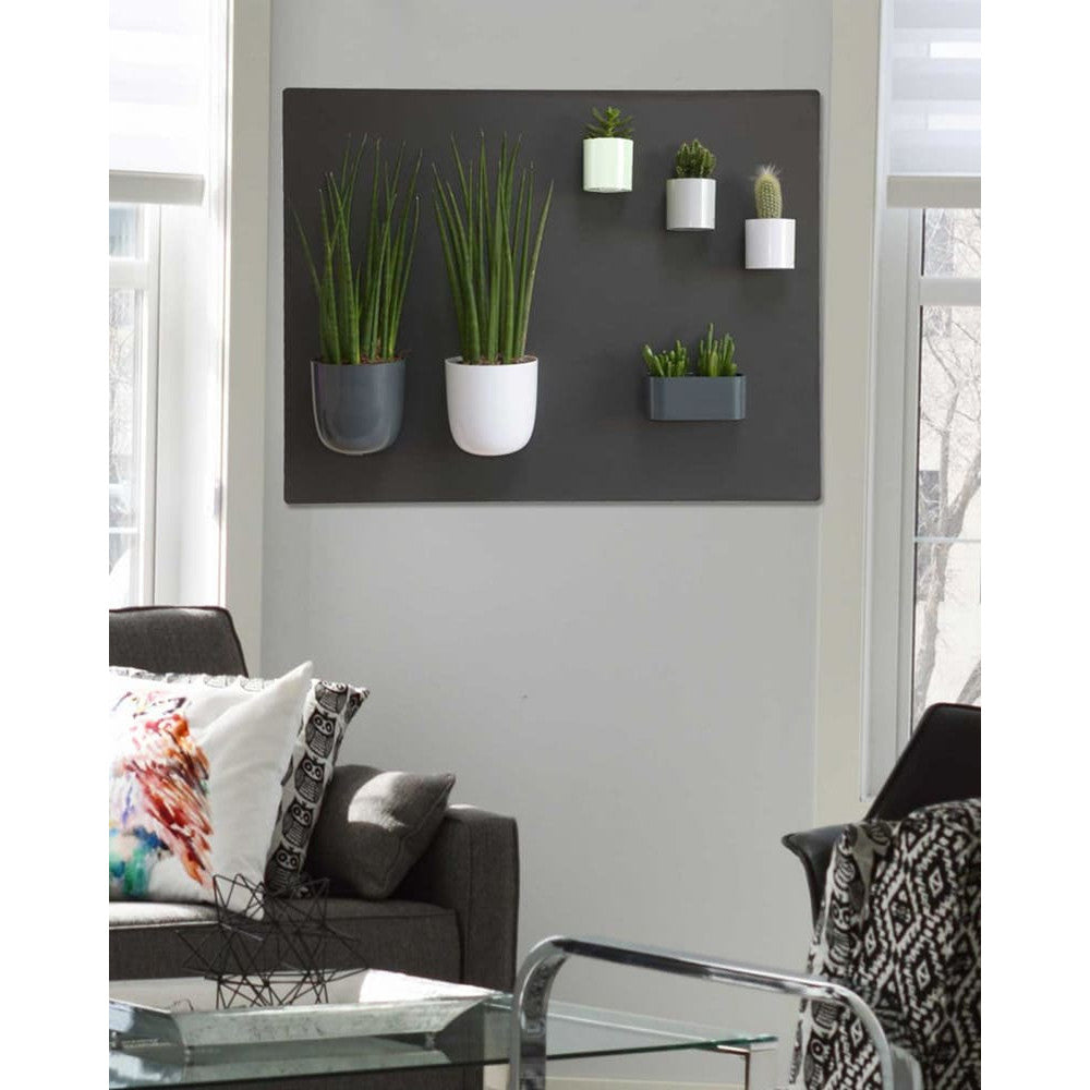 Magnettafel Schwarz Wohnzimmer mit magnetischen Produkten angebracht
