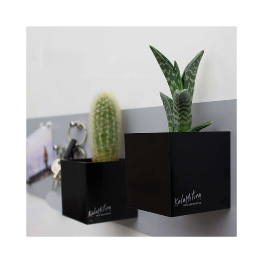 Set aus drei schwarzen cubes magnetisch kalamitica