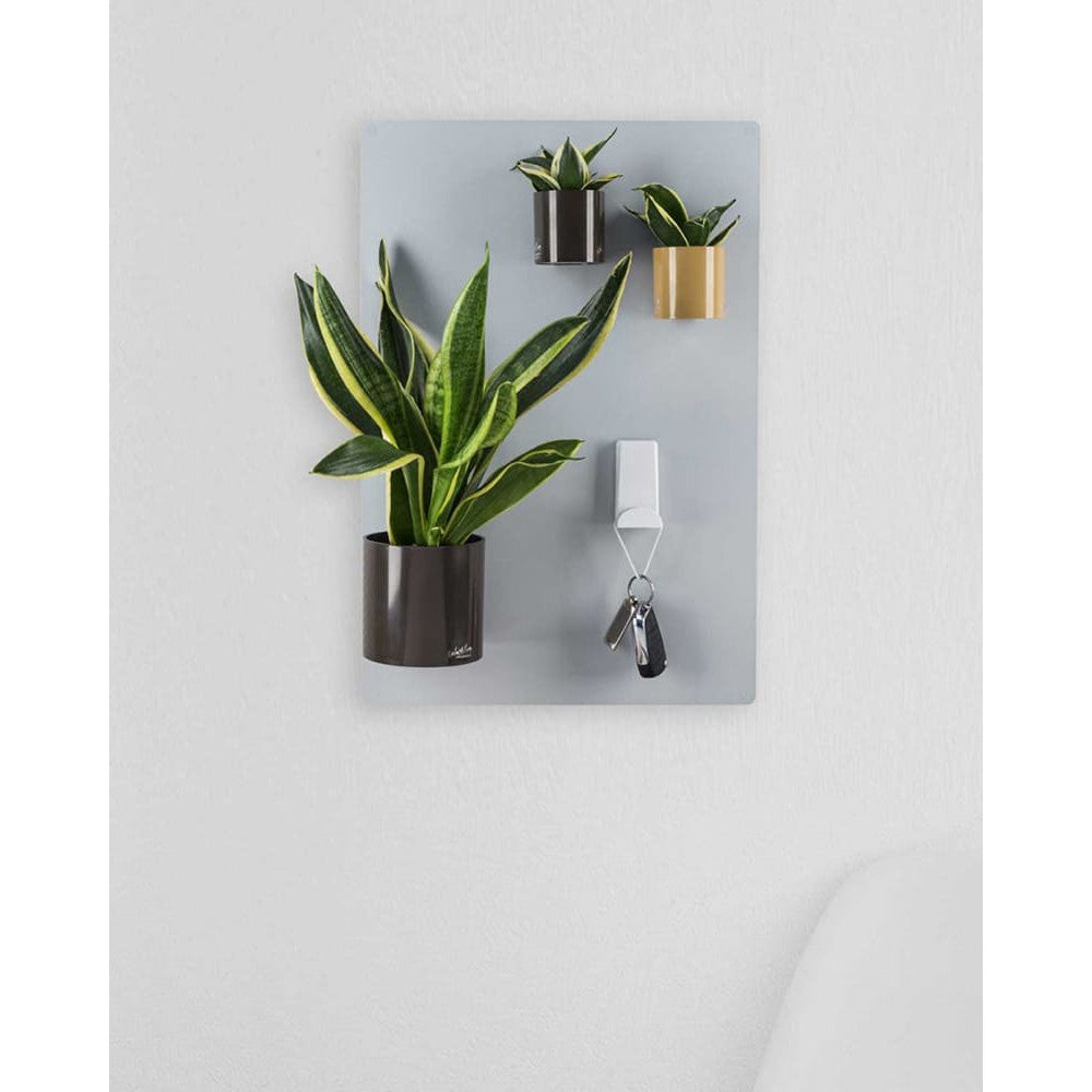 Silberne Magnettafel als magnetische Wanddekoration für Pflanzen und magnetische Produkte im Wohnzimmer