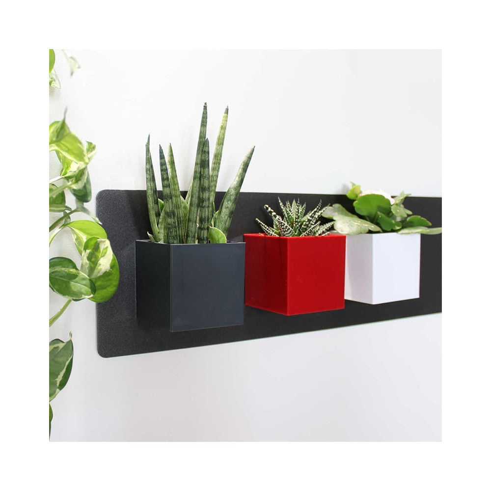 Wandkreidetafel Magnetisch Kalamitica mit magnetischen Blumentöpfen 3er-Set 6cm