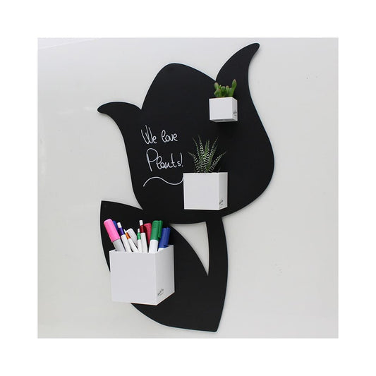 KalaMitica® Magnetische Würfelbehälter Neodym, Ø 3,5-6-9, Weiss, 3 Stk.