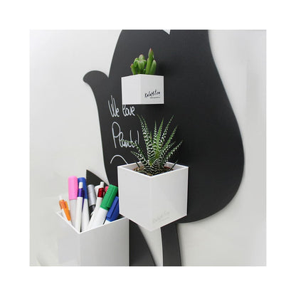 Kalamitica Cubes weiss 3er-Set