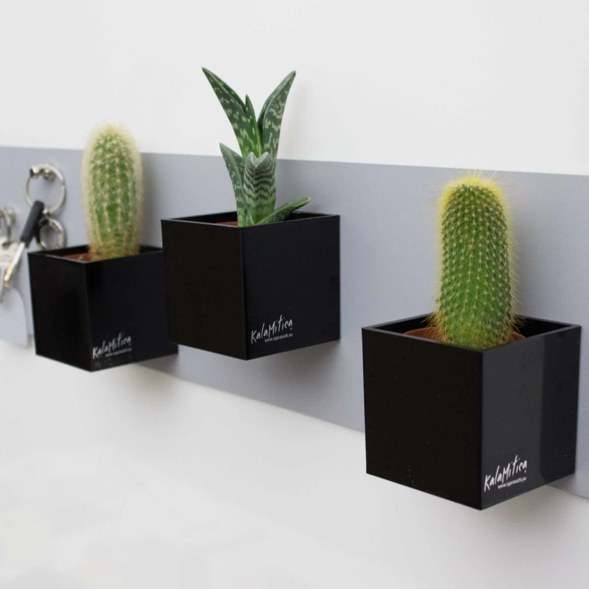 KalaMitica® Magnetische Würfelbehälter Neodym, Ø6cm, Schwarz, 3 Stk.