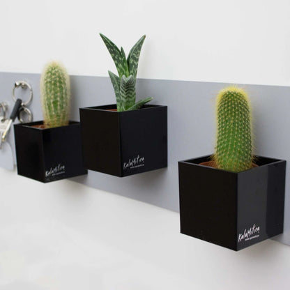 KalaMitica® Magnetische Würfelbehälter Neodym, Ø6cm, Schwarz, 3 Stk.