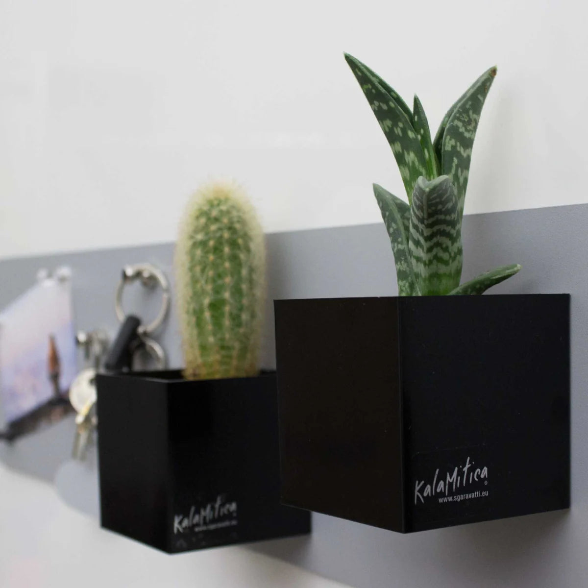 KalaMitica® Magnetische Würfelbehälter Neodym, Ø6cm, Schwarz, 3 Stk.