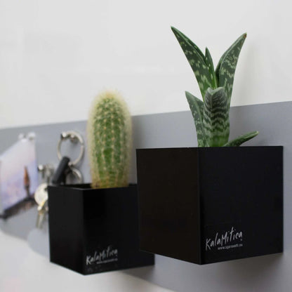 KalaMitica® Magnetische Würfelbehälter Neodym, Ø6cm, Schwarz, 3 Stk.