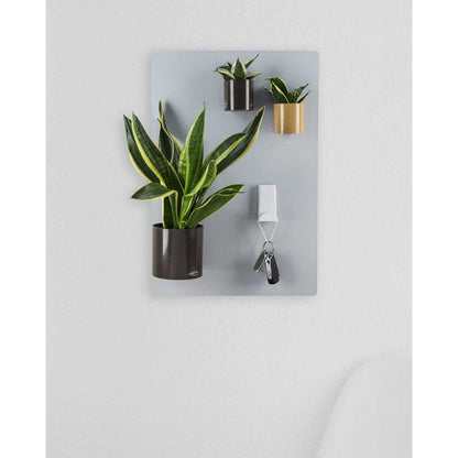 Silberne Magnettafel als magnetische Wanddekoration für Pflanzen und magnetische Produkte im Wohnzimmer