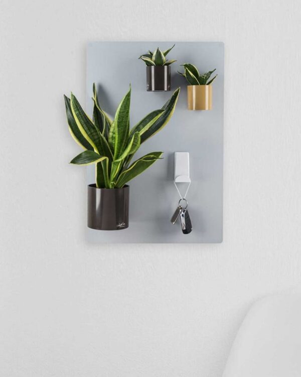 Silberne Magnettafel als magnetische Wanddekoration für Pflanzen und magnetische Produkte im Wohnzimmer